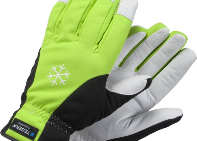 Ejendals Tegera® 293 Glove Image