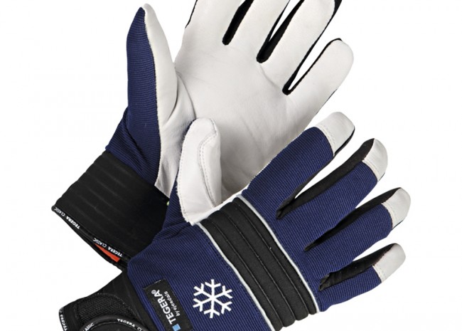 Ejendals Tegera® 297 Glove Image