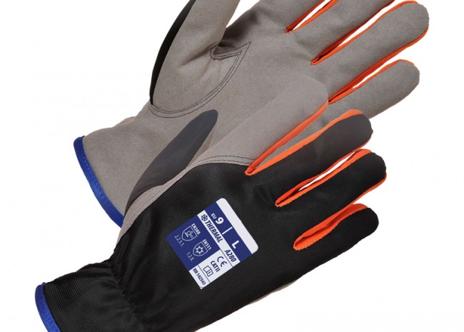 Wintershield Glove Image